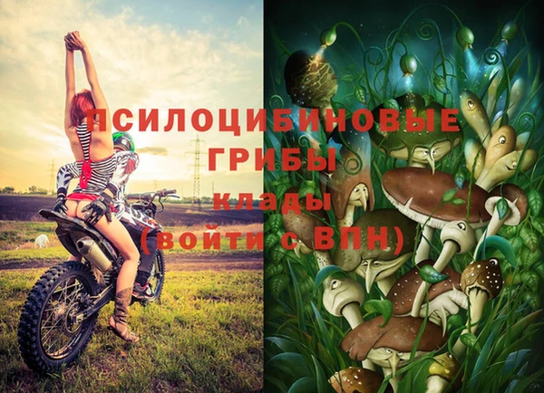 PSILOCYBIN Заволжье