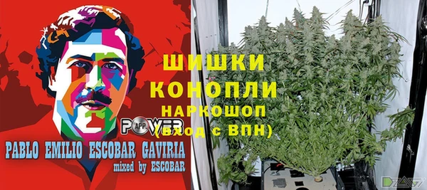 СК Заводоуковск