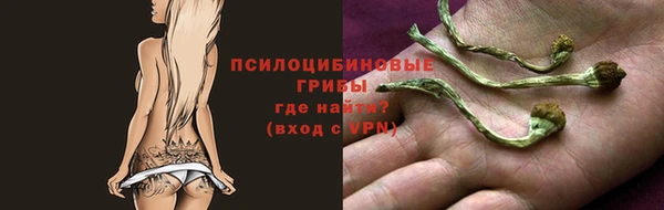 PSILOCYBIN Заволжье