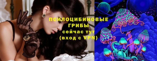 PSILOCYBIN Заволжье