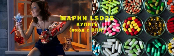 СК Заводоуковск