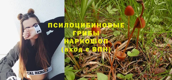 СК Заводоуковск