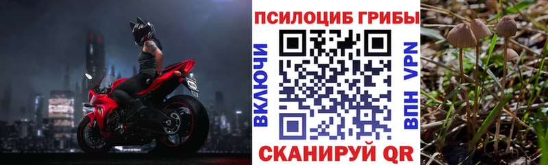 Купить  Заринск  Псилоцибиновые грибы мицелий 